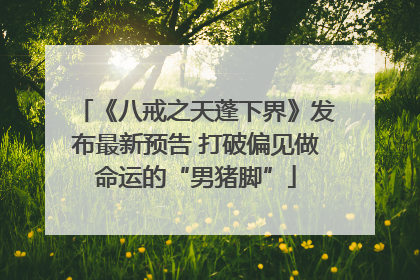 《八戒之天蓬下界》发布最新预告 打破偏见做命运的“男猪脚”