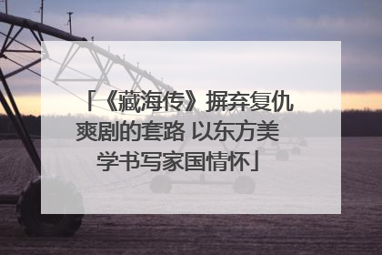 《藏海传》摒弃复仇爽剧的套路 以东方美学书写家国情怀