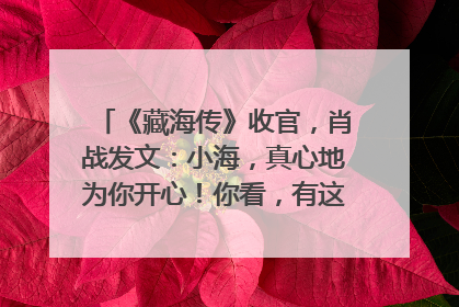 《藏海传》收官，肖战发文：小海，真心地为你开心！你看，有这么多人懂你！