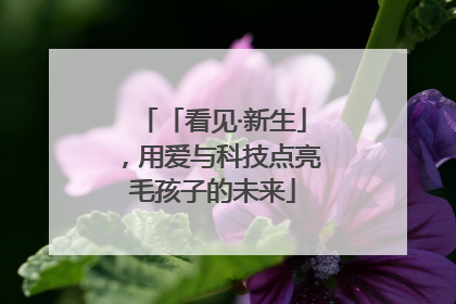 「看见·新生」，用爱与科技点亮毛孩子的未来