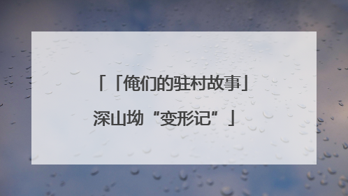 「俺们的驻村故事」深山坳“变形记”