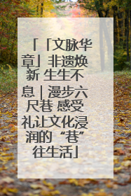 「文脉华章」非遗焕新 生生不息｜漫步六尺巷 感受礼让文化浸润的“巷”往生活