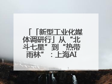 「新型工业化媒体调研行」从“北斗七星”到“热带雨林”：上海AI生态的技术商业共生密码