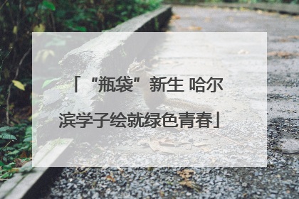 “瓶袋”新生 哈尔滨学子绘就绿色青春
