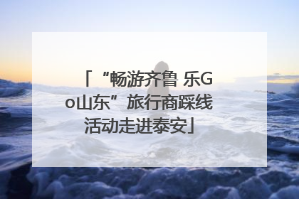 “畅游齐鲁 乐Go山东”旅行商踩线活动走进泰安