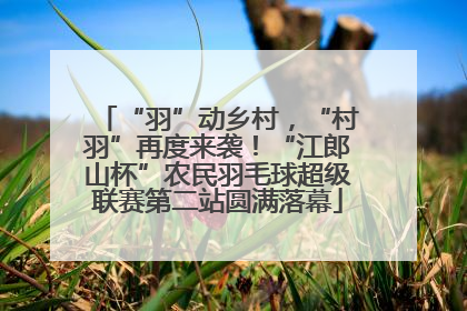 “羽”动乡村，“村羽”再度来袭！“江郎山杯”农民羽毛球超级联赛第二站圆满落幕