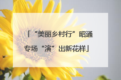 “美丽乡村行”昭通专场“演”出新花样