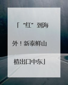 “红”到海外！新泰鲜山楂出口中东