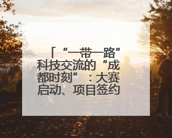 “一带一路”科技交流的“成都时刻”：大赛启动、项目签约，50项“成都造”黑科技吸引多国客商