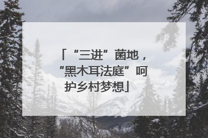 “三进”菌地，“黑木耳法庭”呵护乡村梦想