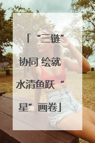 “三链”协同 绘就水清鱼跃“星”画卷