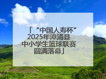 “中国人寿杯”2025年漳浦县中小学生篮球联赛圆满落幕