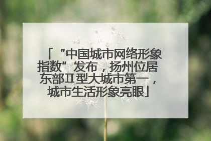 “中国城市网络形象指数”发布，扬州位居东部Ⅱ型大城市第一，城市生活形象亮眼
