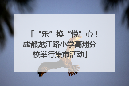 “乐”换“悦”心！成都龙江路小学高翔分校举行集市活动