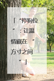 “停狗位 ”：让温情藏在 “方寸之间 ”