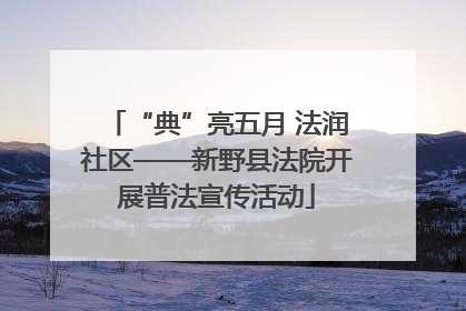 “典”亮五月 法润社区——新野县法院开展普法宣传活动