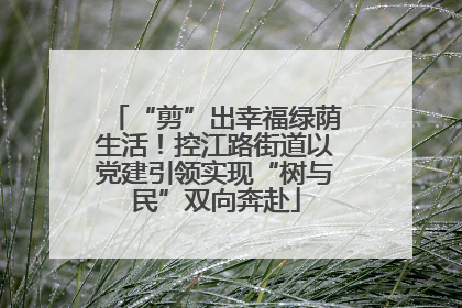 “剪”出幸福绿荫生活！控江路街道以党建引领实现“树与民”双向奔赴