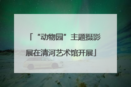 “动物园”主题摄影展在清河艺术馆开展
