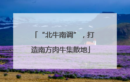 “北牛南调”，打造南方肉牛集散地