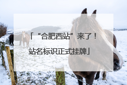“合肥西站”来了！站名标识正式挂牌