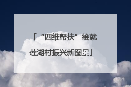 “四维帮扶”绘就莲湖村振兴新图景