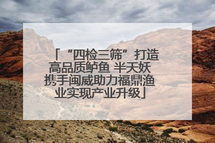 “四检三筛”打造高品质鲈鱼 半天妖携手闽威助力福鼎渔业实现产业升级