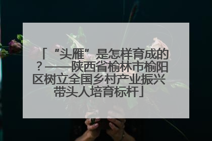 “头雁”是怎样育成的？——陕西省榆林市榆阳区树立全国乡村产业振兴带头人培育标杆
