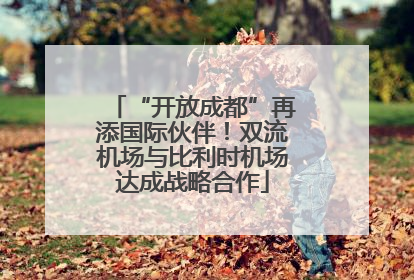 “开放成都”再添国际伙伴！双流机场与比利时机场达成战略合作