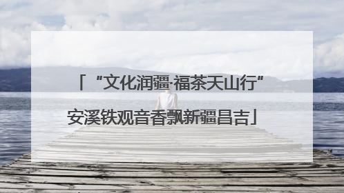 “文化润疆·福茶天山行”安溪铁观音香飘新疆昌吉