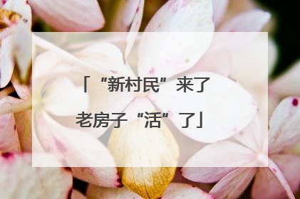“新村民”来了 老房子“活”了
