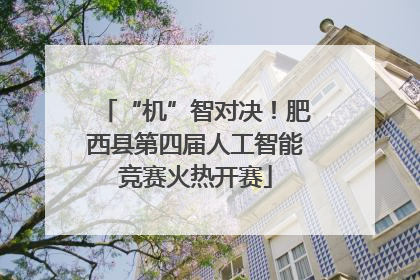 “机”智对决！肥西县第四届人工智能竞赛火热开赛