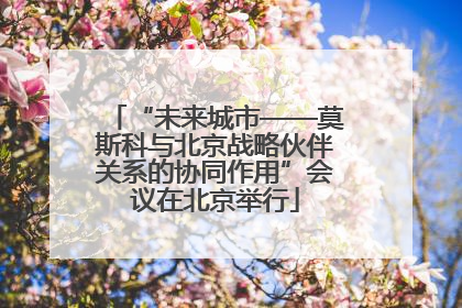 “未来城市——莫斯科与北京战略伙伴关系的协同作用”会议在北京举行