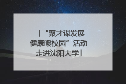 “聚才谋发展 健康暖校园”活动走进沈阳大学