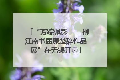 “芳踪佩影——柳江南书屈原楚辞作品展”在无锡开幕