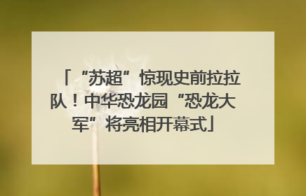 “苏超”惊现史前拉拉队！中华恐龙园“恐龙大军”将亮相开幕式