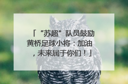“苏超”队员鼓励黄桥足球小将：加油，未来属于你们！