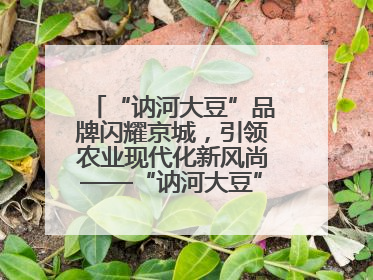 “讷河大豆”品牌闪耀京城，引领农业现代化新风尚——“讷河大豆”品牌新发地推介会圆满落幕