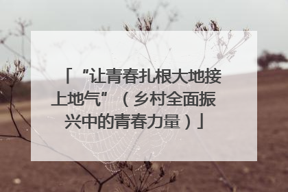 “让青春扎根大地接上地气”（乡村全面振兴中的青春力量）