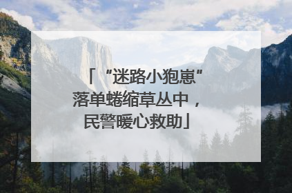 “迷路小狍崽”落单蜷缩草丛中，民警暖心救助