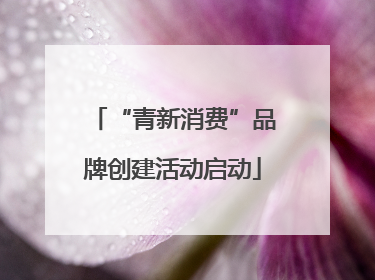 “青新消费”品牌创建活动启动