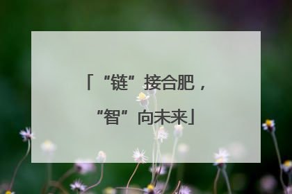 “链”接合肥，“智”向未来