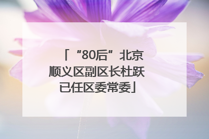 “80后”北京顺义区副区长杜跃已任区委常委