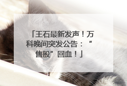 王石最新发声！万科晚间突发公告：“售股”回血！