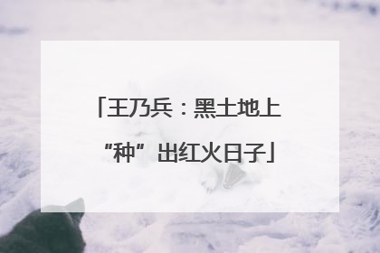王乃兵：黑土地上“种”出红火日子