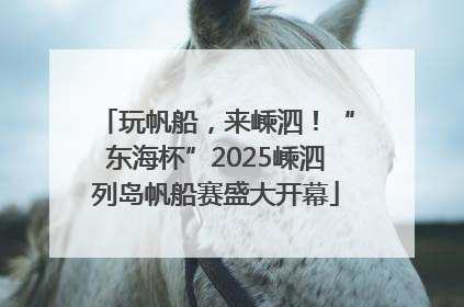 玩帆船，来嵊泗！“东海杯”2025嵊泗列岛帆船赛盛大开幕