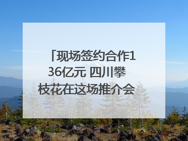现场签约合作136亿元 四川攀枝花在这场推介会上画“图谱”列“清单”