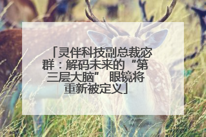 灵伴科技副总裁宓群：解码未来的“第三层大脑” 眼镜将重新被定义