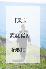 灵宝：麦浪滚滚抢收忙