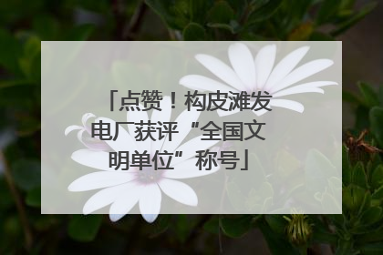 点赞！构皮滩发电厂获评“全国文明单位”称号