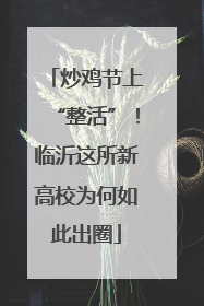 炒鸡节上“整活”！临沂这所新高校为何如此出圈